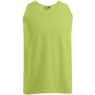 Farbe: wild lime
